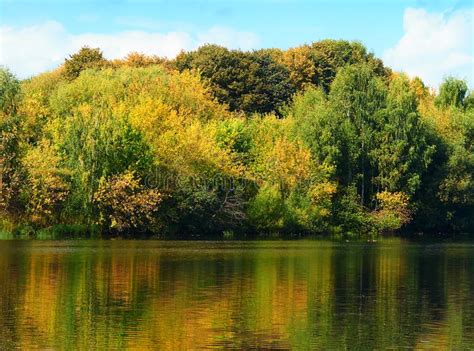 Dramatic Trees Water Reflections At Autumn Park Stock Image Image Of