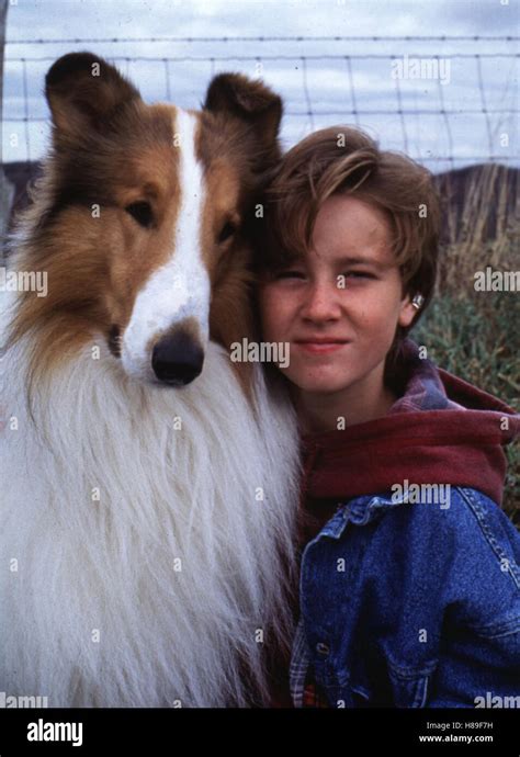 Lassie Lassie Usa 1994 Regie Daniel J Petrie Tom Guiry