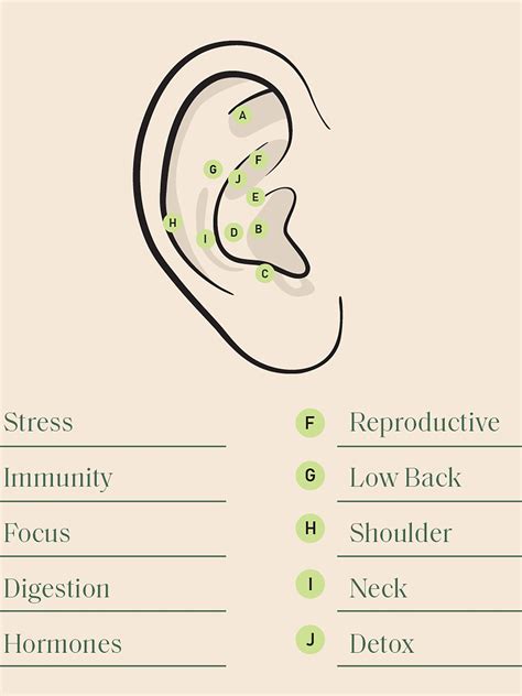 Ear Seeding Benefits Side Effects And Ear Seed Chart