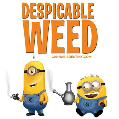 Despicable Weed Special Characters Fictional Characters Despicable