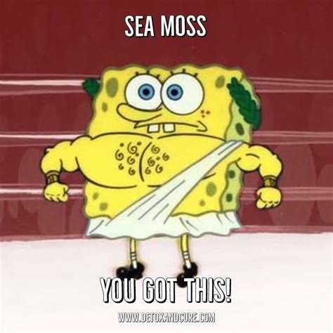 You can spend the whole day with the best spongebob memes and do not regret it. Be like Spongebob | Funny pictures, Spongebob memes, Funny gif