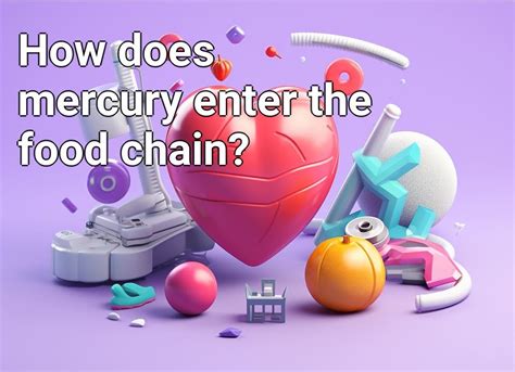 How Does Mercury Enter The Food Chain Healthgovcapital