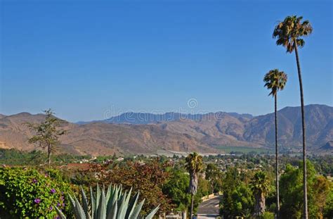 450 California Camarillo Stock Photos Free And Royalty Free Stock