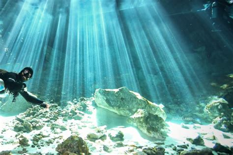 Dos Ojos Cenote Diving 2021 Largest In The World Best Cenote Dives