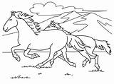 Coloring Horse Christmas Printable Adult Adults Kindergarten Horses sketch template