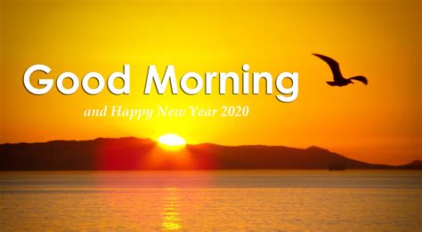 Editing good morning images download. Good Morning Happy New Year 2020 - VitalCute