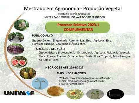 Mestrado Em Agronomia Produção Vegetal Da Univasf Realiza Processo