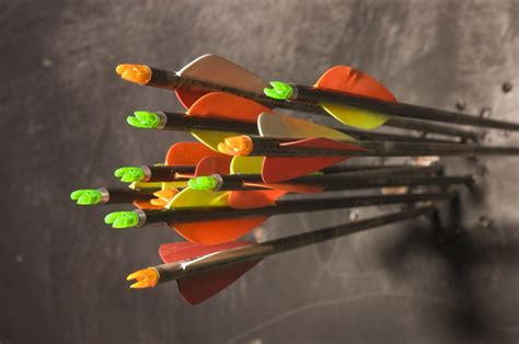 Aluminum Vs Carbon Arrows Whats The Difference Everything You Need