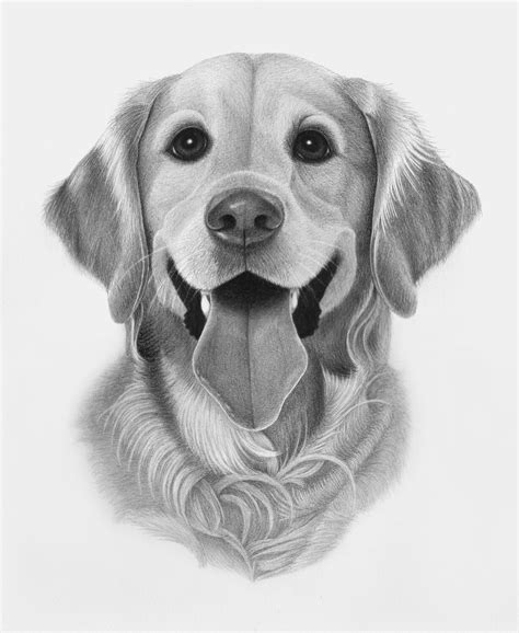 We did not find results for: Pin by April Dikty ( Ordoyne) on Dogs | Hard drawings, Golden retriever drawing, Pencil drawings ...