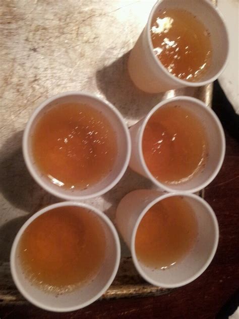 This is a mouthwatering vodka shot that tastes just like mom's apple pie. 151 Apple Pie Shot - Apple Pie Shot Cocktail Recipe / Make ...