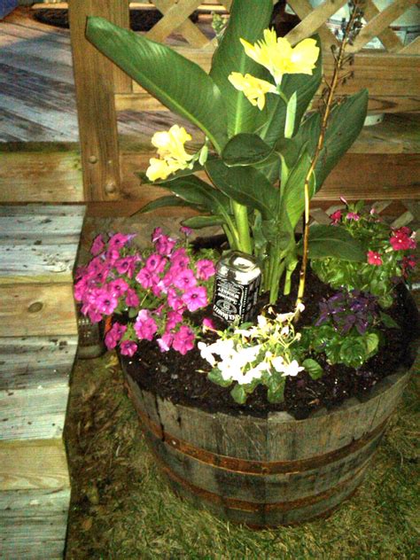 Jack Daniels Whiskey Barrel Planter Plant Ideas
