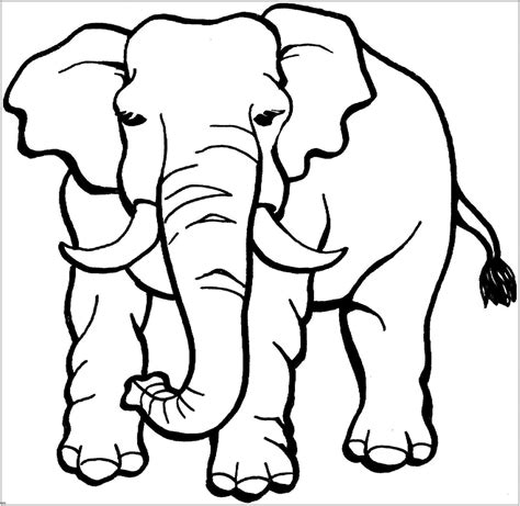 Elephant Coloring Pages To Print And Color Elephants Kids Coloring