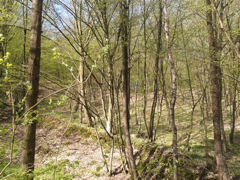 4.13 park narodowy gór stołowych. Park Narodowy - Bory Tucholskie | Agri24.pl
