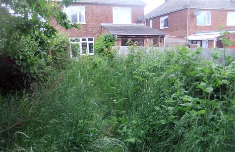 How do you get rid of overgrown gardens? 2013_06_150009 | Overgrown garden | Gwydion M. Williams ...