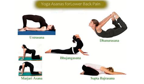 Yoga Asanas For Chronic Back Pain Relief Infographic
