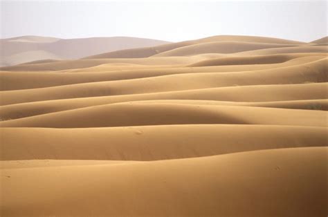 Sand Dunes Can Communicate With Each Other Earth Earthsky