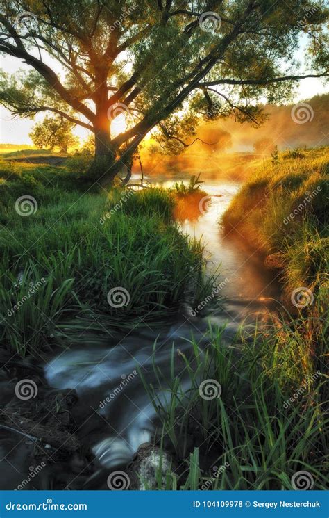 Spring Morning A Picturesque River Stock Photo Image Of Foliage