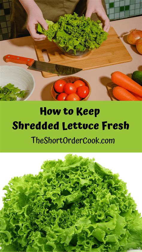 How To Keep Shredded Lettuce Fresh The Short Order Cook