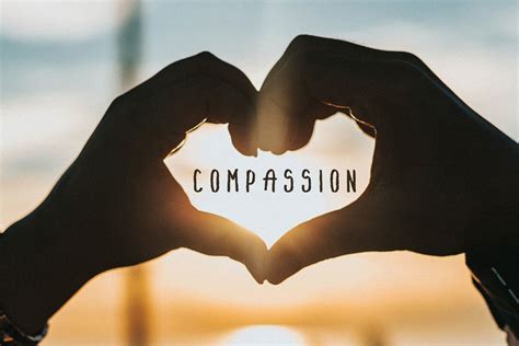 Compassion The Deepest Expression Of Love