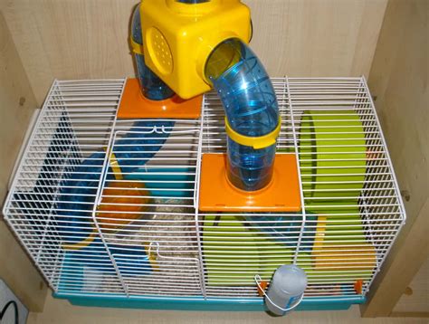How To Choose The Best Cage For Your Hamster Hamsters 101