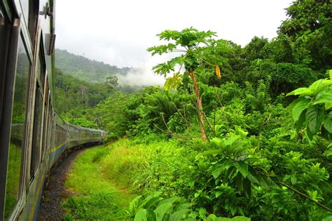 Celebrities like onew (shinee) and dong jun (ze:a), shed their. Group Tours & Luxury Holidays inc. Jungle Train, Malaysia ...