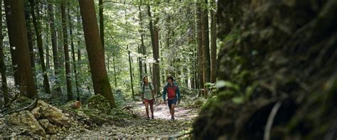 Es wurde herrlichstes frühlingswetter vorhergesagt, auch wenn wir erst mitte februar haben. Kulinarisch Wandern - Schwarzenberg - Bezau im Bregenzerwald