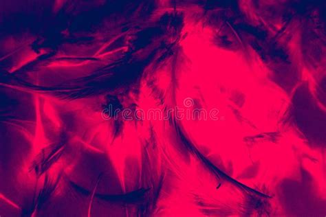 Beautiful Closeup Textures Abstract Colorful Dark Black Red And Pink