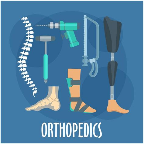 Orthopedics And Prosthetics Icon For Clinic Design 11677475 Vector Art