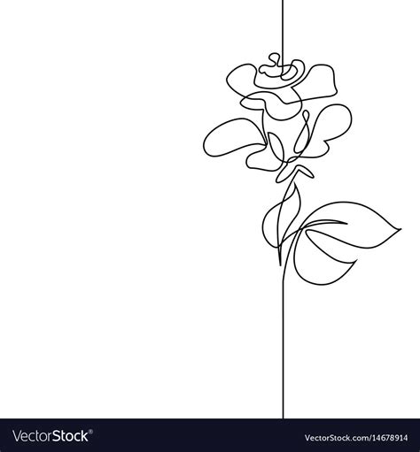 Continuous Line Drawing Beautiful Flower Vector Image