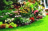 Images of Yard Landscaping Templates