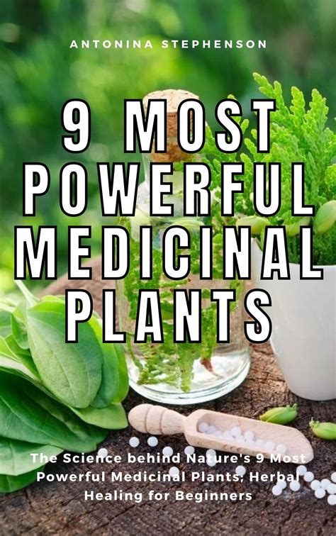9 Most Powerful Medicinal Plants The Science Behind Natures 9 Most