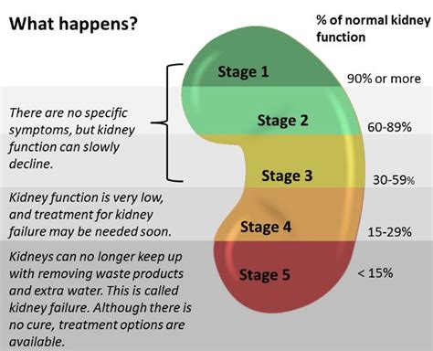 In healthy persons, urine contains very little protein; stages of kidney failure | Kidney health