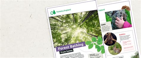 Forest Bathing Activity Sheets For Home Forestry England