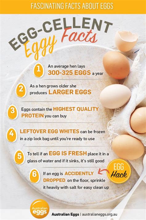 6 Eggs Cellent Egg Facts Myfoodbook Food Stories Boiled Egg