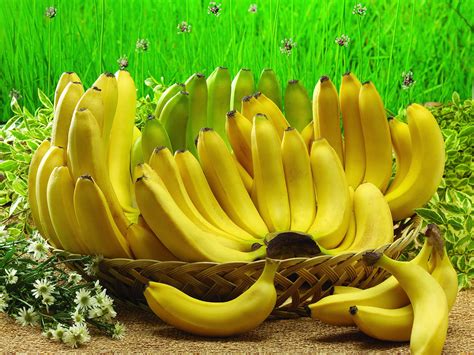 Banana Fruit Wallpapers Top Free Banana Fruit Backgrounds
