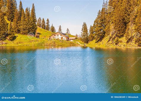 Trees On The Mountains Surrounded By Lake Lac Lioson In Switzerland
