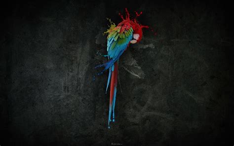 Abstract Minimalistic Multicolor Birds Parrots Color Splash Simple