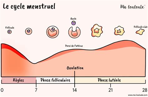 Le Calendrier Des Règles Et Du Cycle Menstruel Ma Louloute