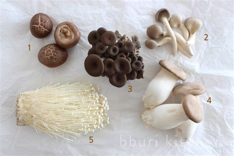 Korea's most common mushrooms · bburi kitchen