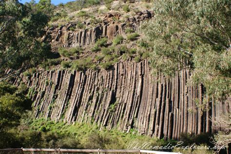 Organ Pipes National Park The Nomadic Explorers