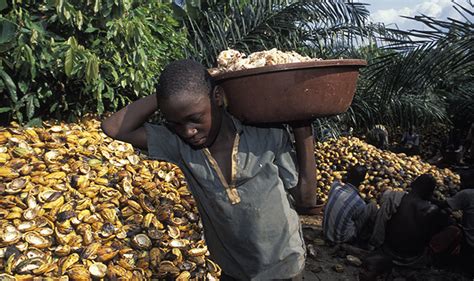 Child labour concerns dominate cocoa farming issues in ghana. The Fairness Gap - Farmer incomes and root cause solutions ...
