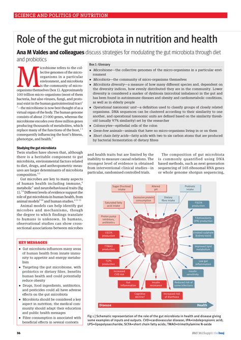 Pdf Role Of The Gut Microbiota In Nutrition And Health