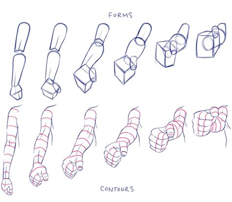 Mastering Arms In Figure Drawing From Anatomy To Foreshortening