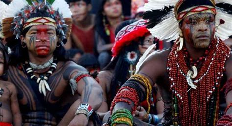 Saiba Mais Sobre Os Povos Indígenas Do Brasil Terravista Brasil
