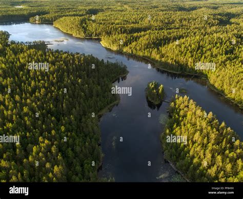 A Boreal Forest Taiga Finland Hi Res Stock Photography And Images Alamy