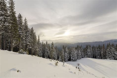 Najbolje Planine U Srbiji Za Zimski Odmor Video