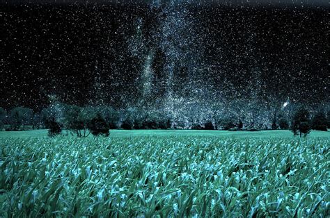 Corn Field At Night Digital Art By William Bader Pixels