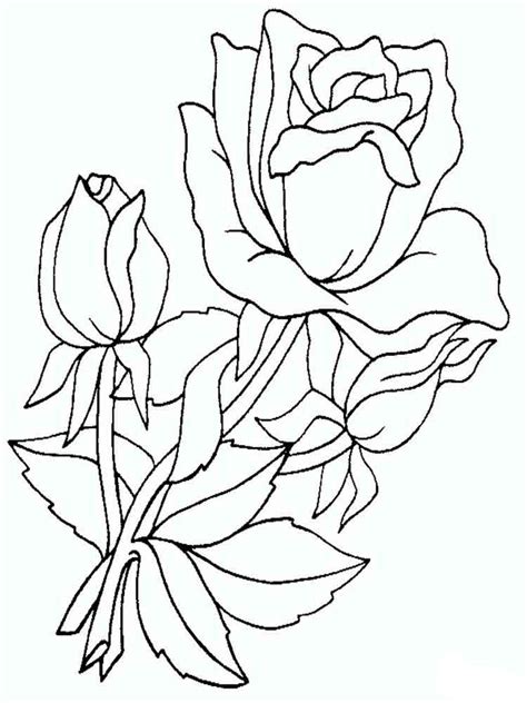 Rose coloring pages. Download and print Rose coloring pages