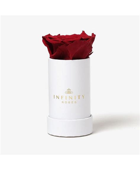 Infinity Roses Single Red Real Rose Preserved To Last Over A Year Macys