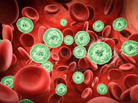 Bacteria No Sangue Tem Cura